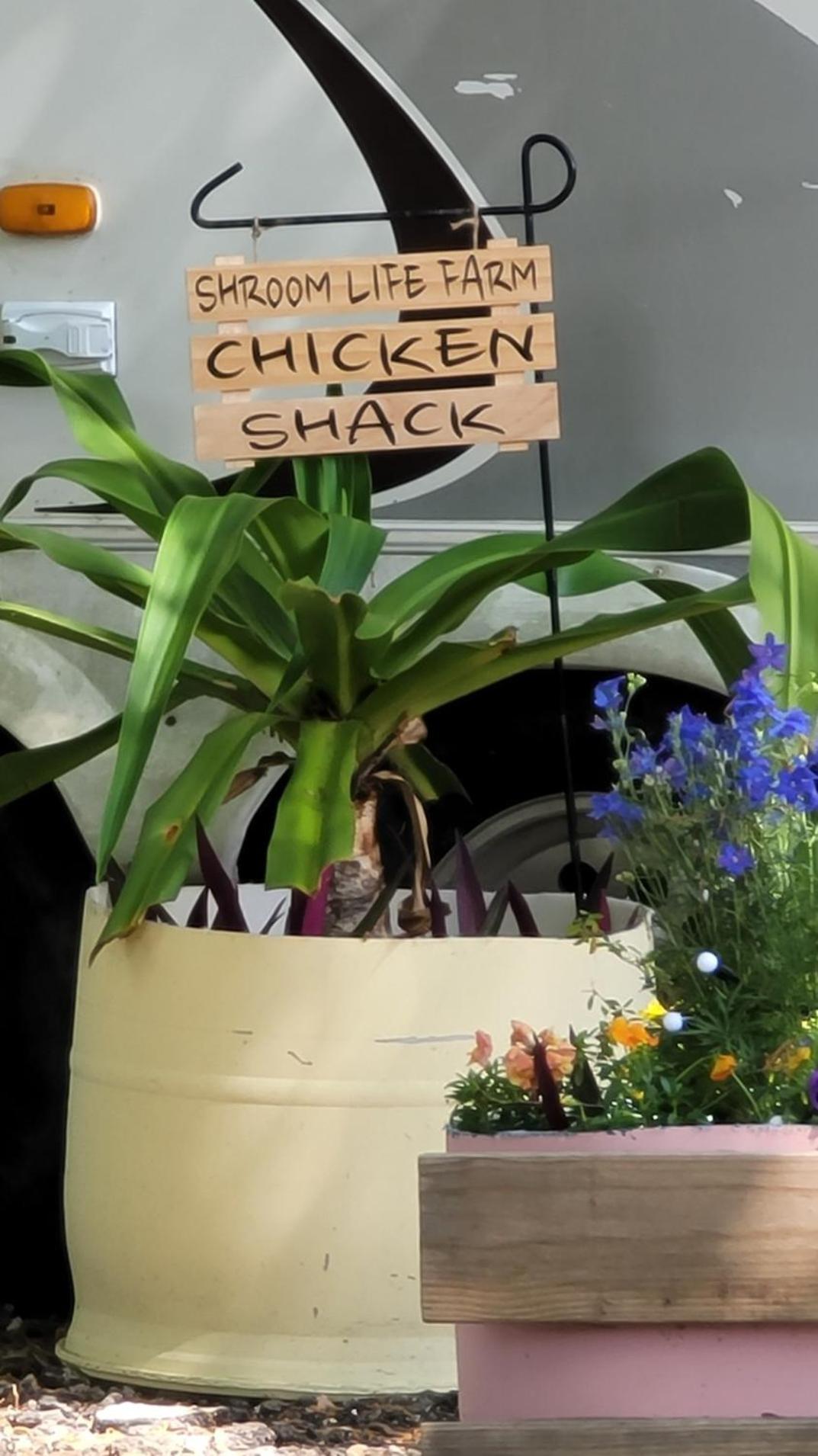 Shroom Life Farm Chicken Shack North Fort Myers Buitenkant foto